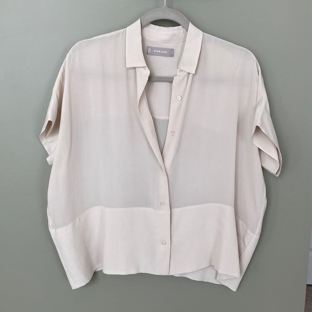 Everlane Silk Shirt